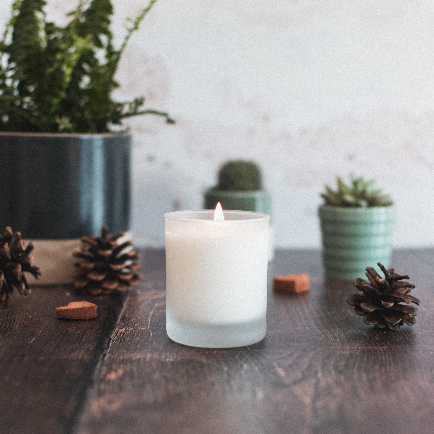 The Little Fern Co. Candles
