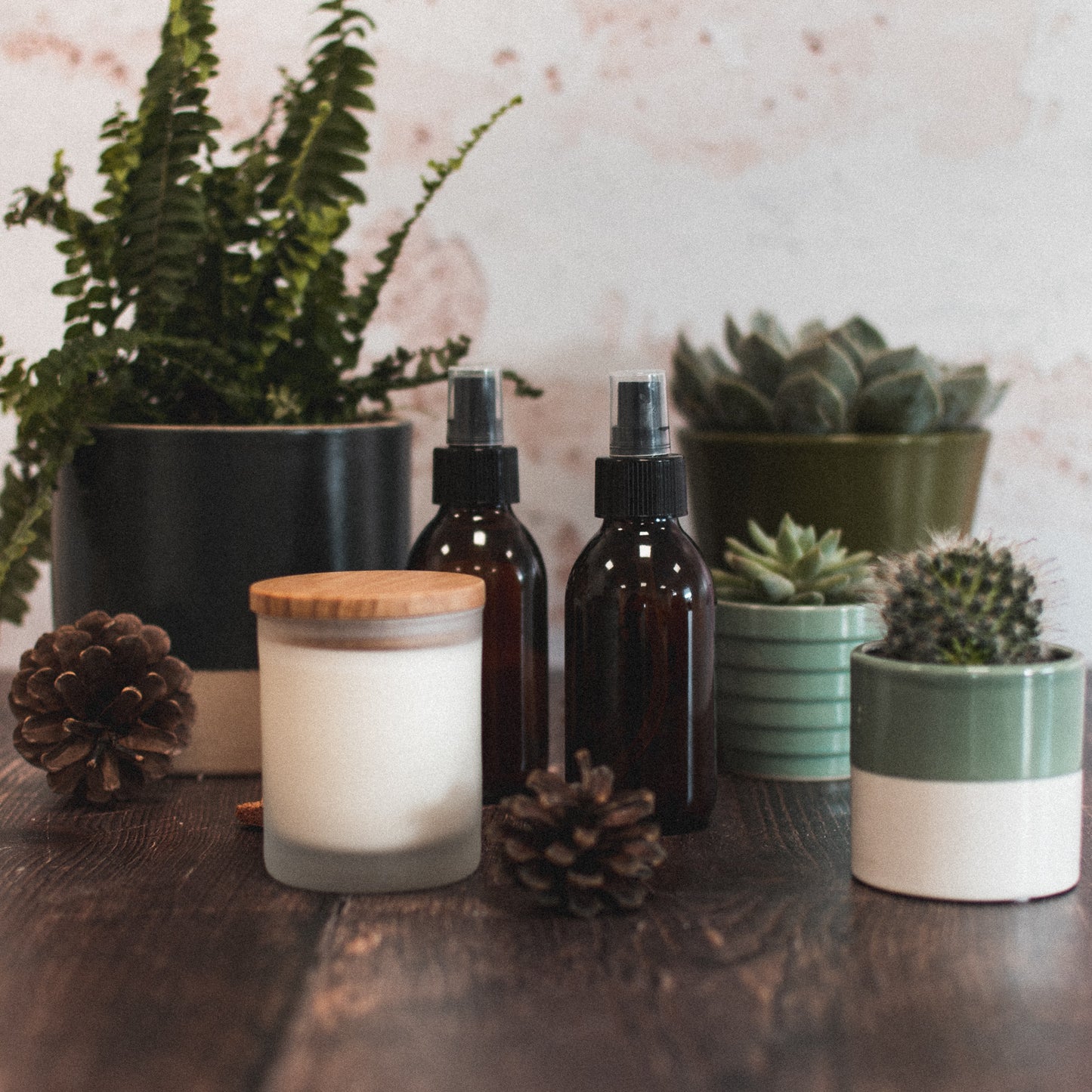 Eco-friendly Natural Self care from the little fern co